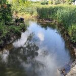 Ліквідація наслідків забруднення річки Борщагівка триває: фахівці КП «Плесо» відкачують забруднення з поверхні води